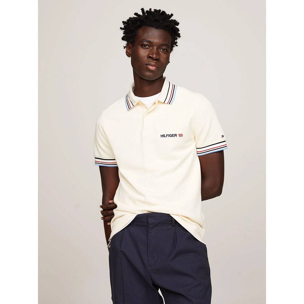 Men's Regular Fit Stripe Tipped Polo