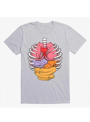 Anatomicat Anatomy Cat Sport Grey T-Shirt