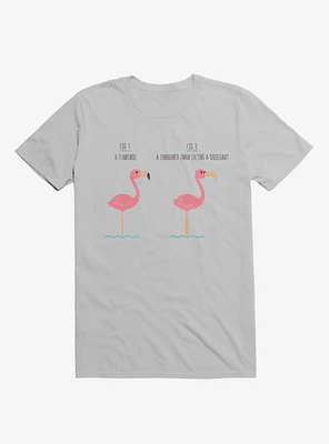 Know Your Birds A Flamingo Or Sunburned Swan Ice Grey T-Shirt