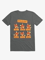 All The Fox I Give Charcoal Grey T-Shirt