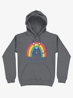 Rainbow Knife Be Nice 2.0 Asphalt Grey Hoodie