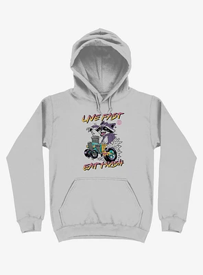 Raccoon Live Fast Eat Trash! Silver Hoodie
