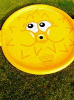 Blowfish Splash Pad