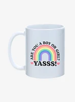 Boy or Girl Pride Mug 11oz