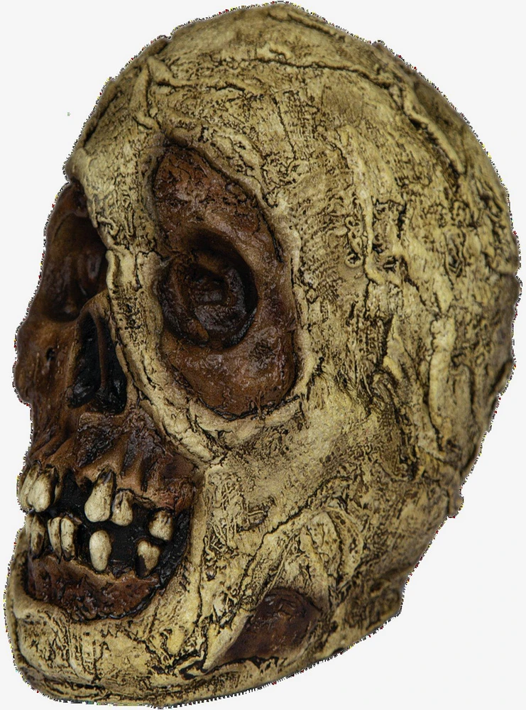 Decorative Mummy Skull