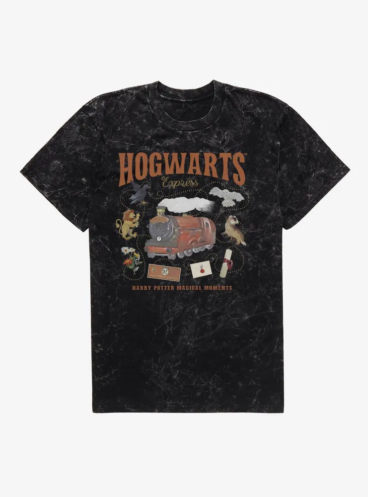 Harry Potter Hogwarts Express Magical Moments T-Shirt