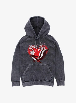 Looney Tunes Love Is The Air Mineral Wash Hoodie