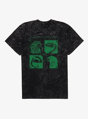Harry Potter Hogwarts School Of Witchcraft And Wizardry Mineral Wash T-Shirt