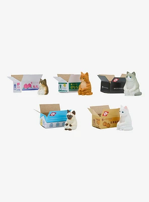 Cat in Box Blind Box Figure