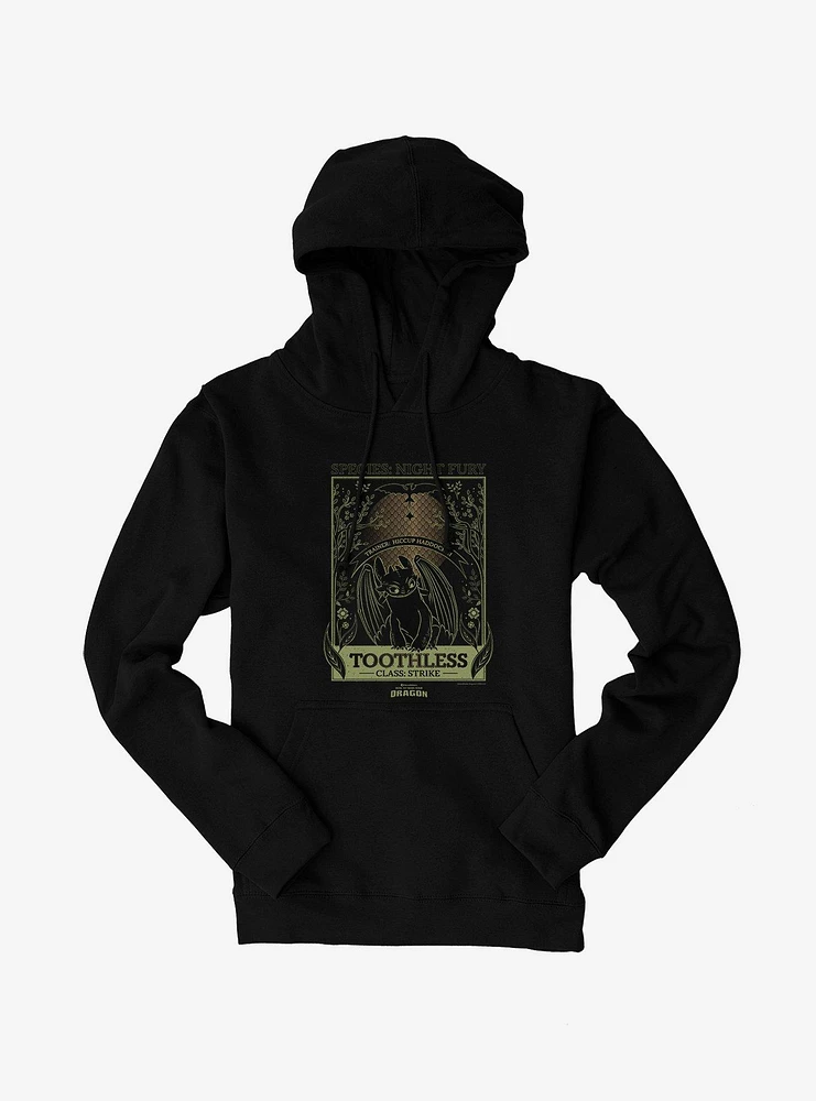 How To Train Your Dragon Toothless Species Card Hoodie