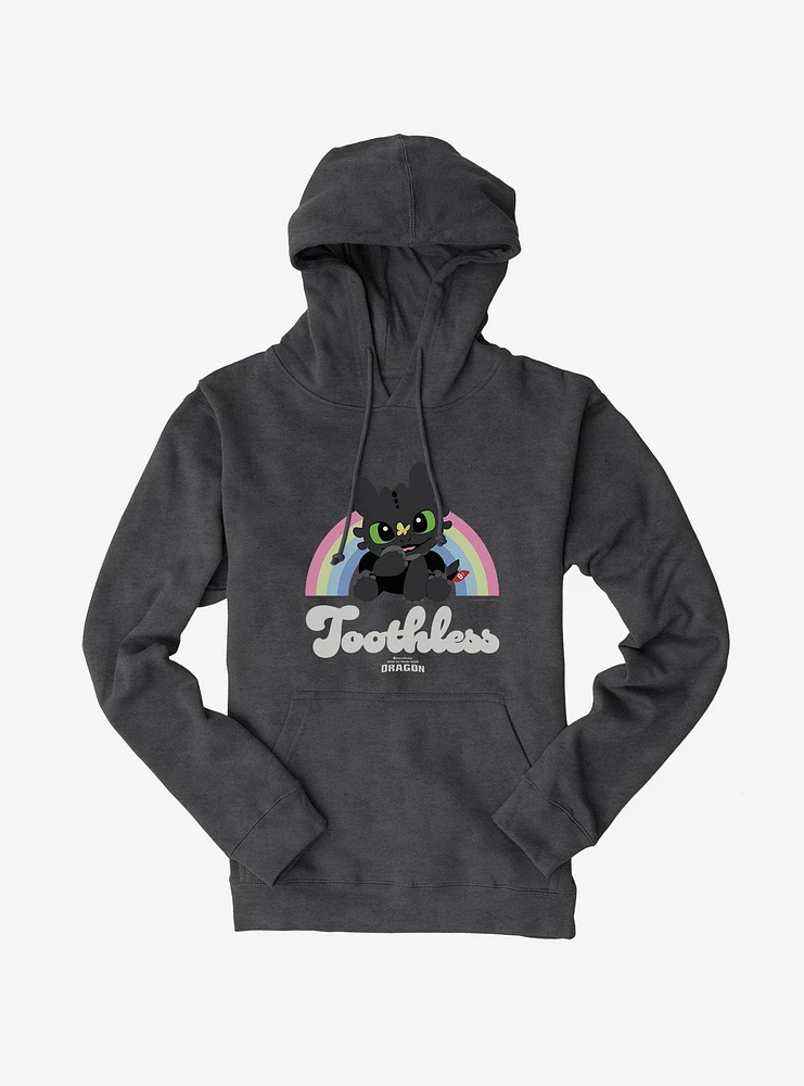 How To Train Your Dragon Toothless Rainbow Hoodie