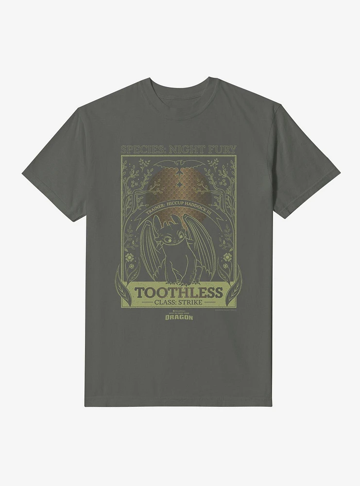 How To Train Your Dragon Toothless Species Card Garment Dye T-Shirt
