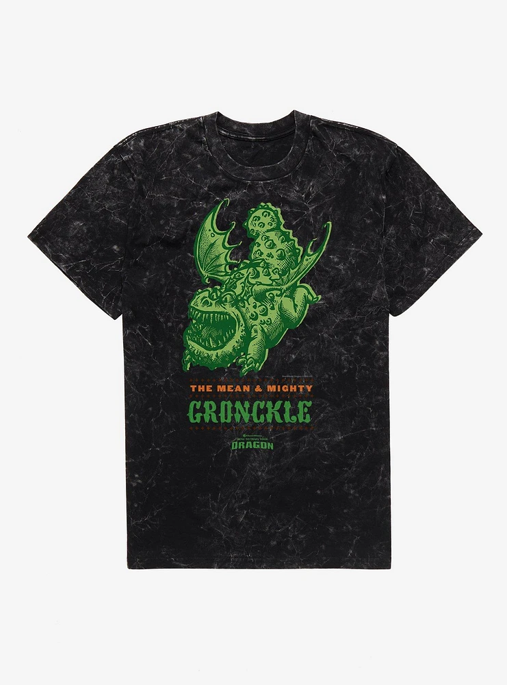 How To Train Your Dragon Mean & Mighty Gronckle Mineral Wash T-Shirt