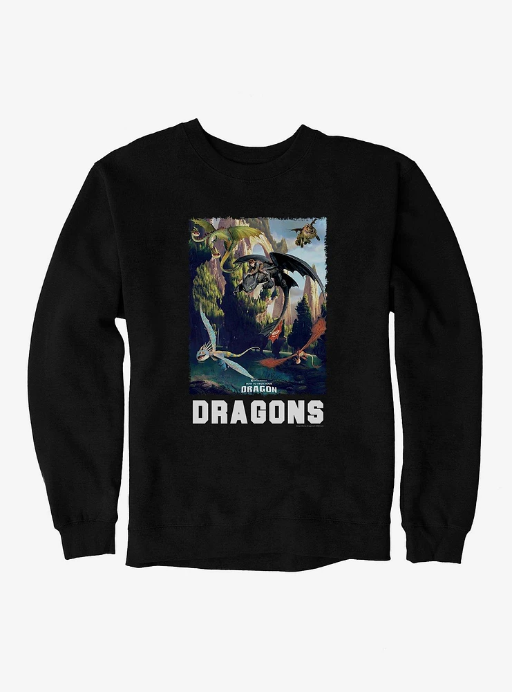 How To Train Your Dragon Dragons Sweatshirt