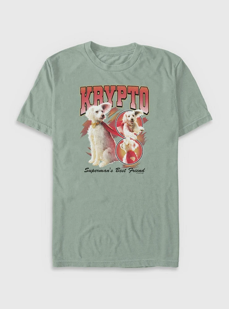DC Comics Superman Krypto Superman's Best Friend Garment Dye T-Shirt BoxLunch Exclusive