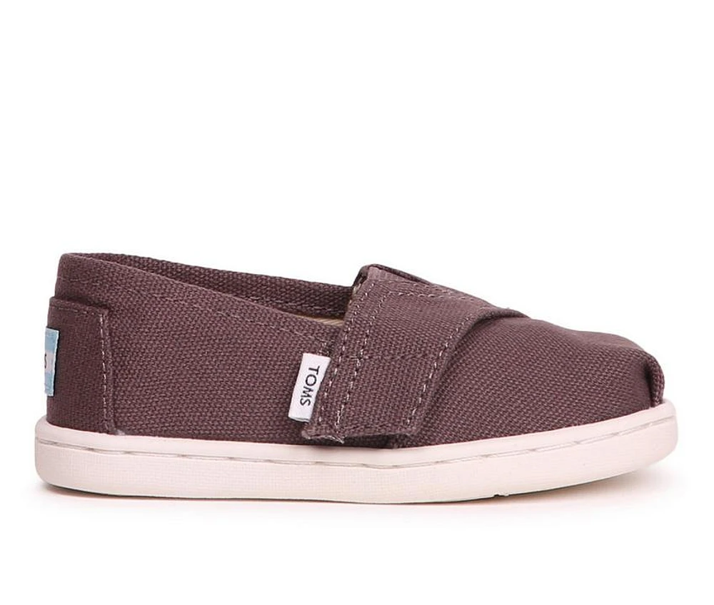 Kids' TOMS Infant & Toddler Little Kid Tiny Alpargata Ash Shoes