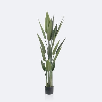 Faux Canna Plant