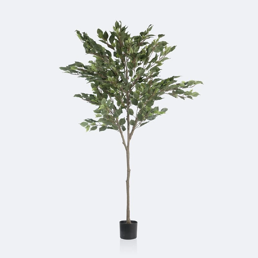Faux Ficus Tree - 160cm