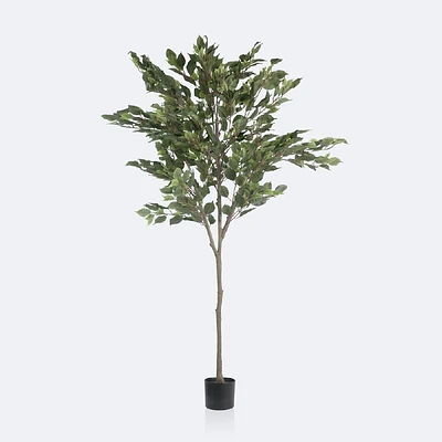 Faux Ficus Tree - 160cm