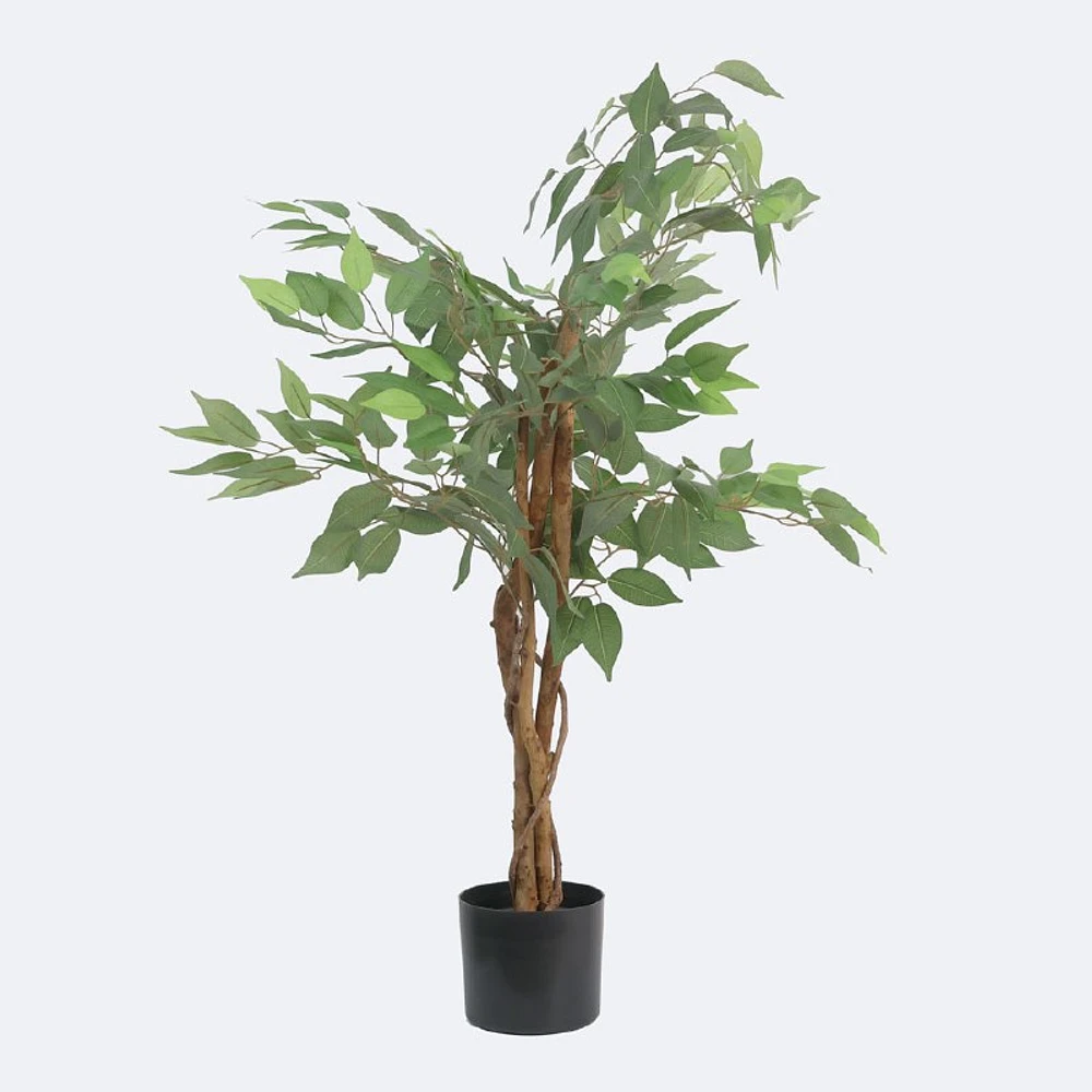 Faux Ficus Tree - 3 Trunks