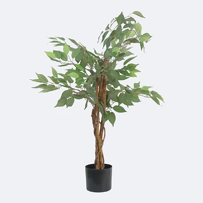 Faux Ficus Tree - 3 Trunks