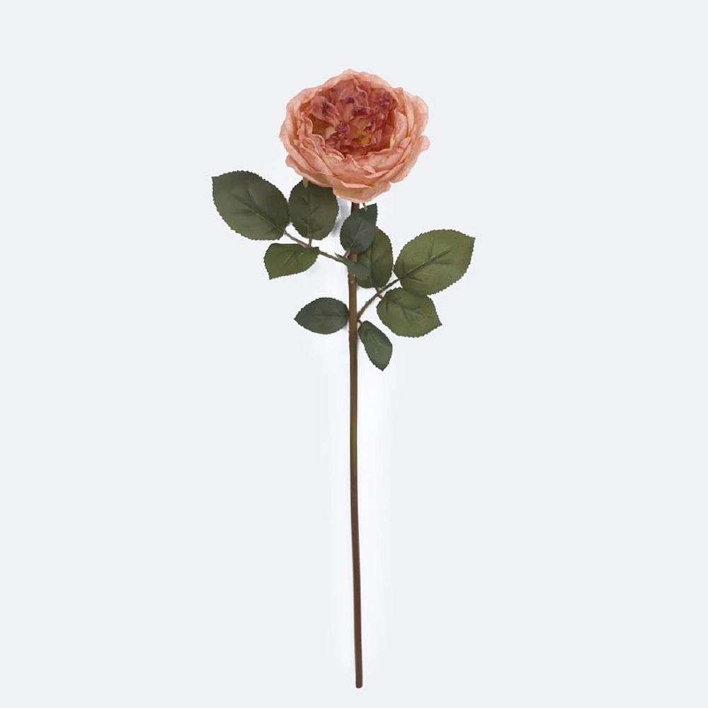 Faux Rose - Pink