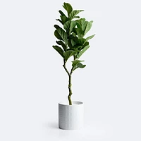 Artificial Tree in Pot