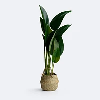 Tree with Wicker Basket
