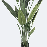 Faux Canna Plant
