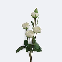 Faux Rose - White