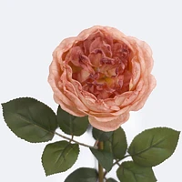 Faux Rose - Pink