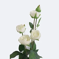 Faux Rose - White