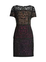 Ombre Laser-Cut Lace Dress