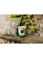 Eden Max24 Forest Candle
