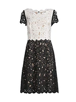 Laser-Cut Two-Tone Dress