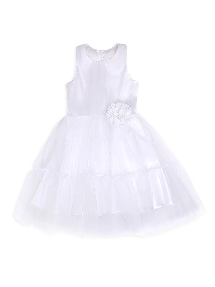 Little Girl's & Girl's Bridget Tulle Pleated Dress
