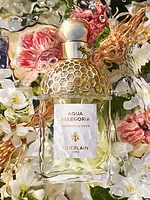 Aqua Allegoria Nerolia Vetiver Eau De Toilette
