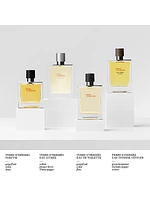 Terre d'Hermes Eau de Toilette