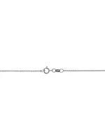 14K White Solid Gold Rimini Rolo Chain