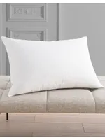 Jardin Des Tuileries Pillow