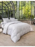 Jardin Des Tuileries Pillow