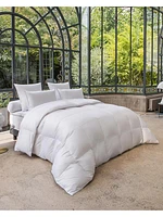 Jardin Des Tuileries Pillow