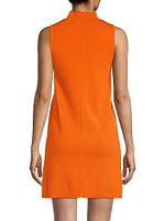 Madelyn Mock Turtleneck Minidress