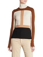 Light Wool Intarsia Fitted Turtleneck Colorblock Sweater