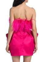 Paula Feather-Trimmed Minidress