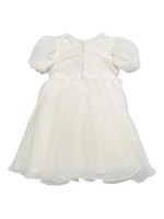 Baby Girl's, Little Girl's & Girl's Sequin Embroidered Puff Sleeve Dress