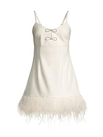 Mariany Feathered Minidress