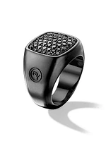 Streamline Signet Ring In Titanium