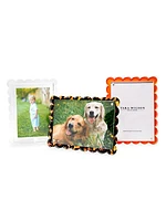 Scallop Tortoise Photo Frame