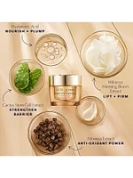 Revitalizing Supreme+ Youth Power Creme SPF 25 Moisturizer